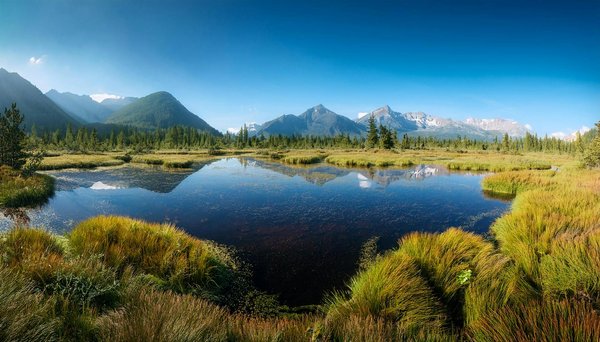 Partir en vacances avec un budget serré : mission possible?